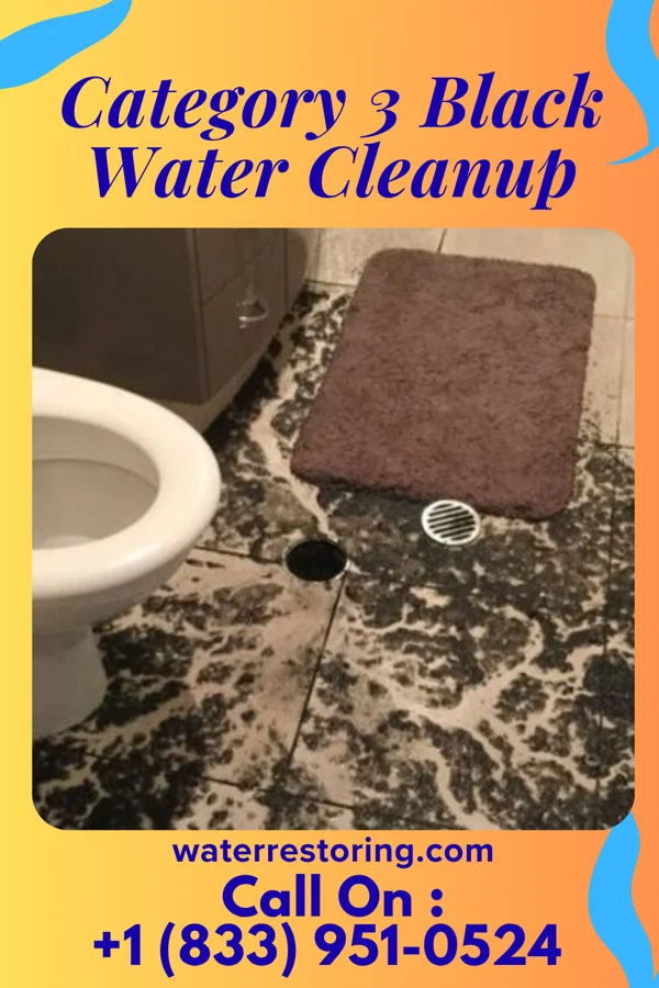 Category 3 Black Water Cleanup in Fennimore, WI