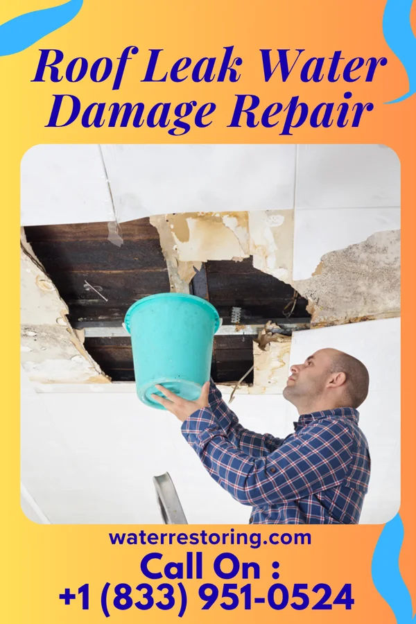 Roof Leak Water Damage Repair in Fennimore, WI