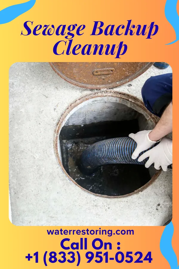 Sewage Backup Cleanup in Fennimore, WI